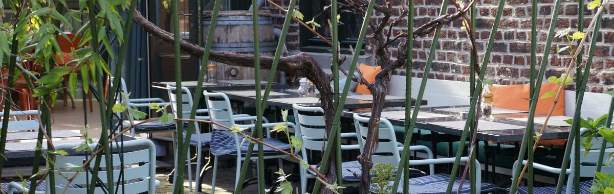 Het terras van 't Drifke, met gedekte tafels tussen de druivenranken