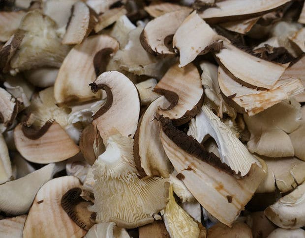 Vers gesneden paddenstoelen, klaar om gebakken te worden